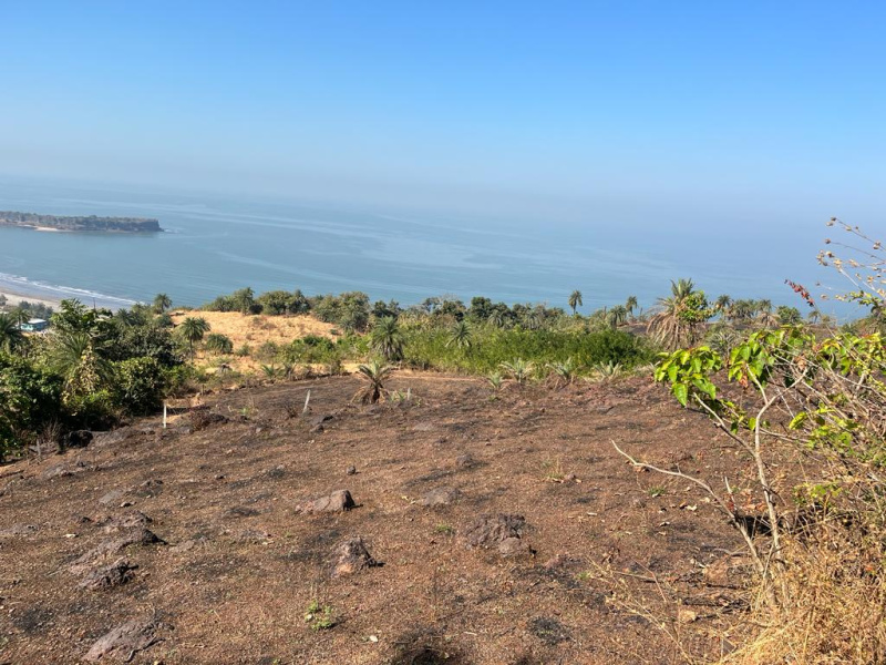  5 Guntha Commercial Land for Sale in Dapoli, Ratnagiri