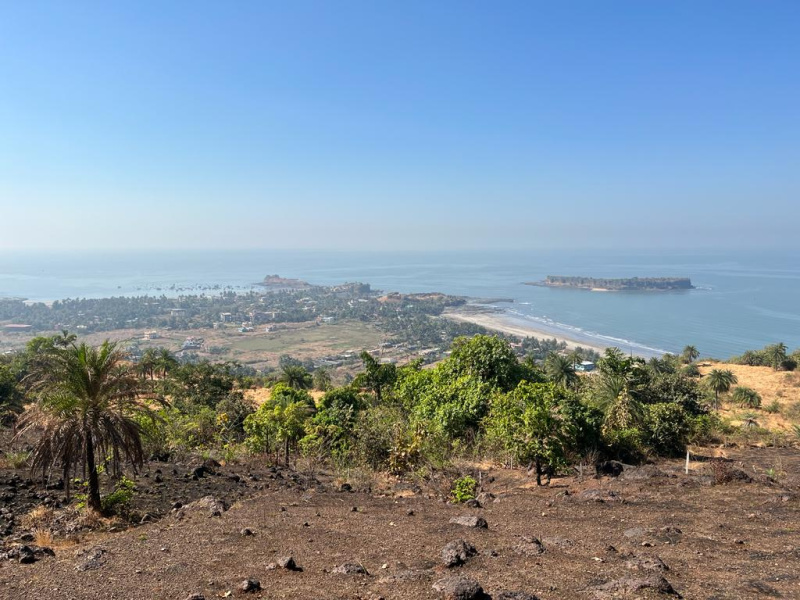  5 Guntha Commercial Land for Sale in Dapoli, Ratnagiri