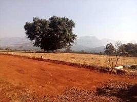  Agricultural Land for Sale in Mhaisal, Sangli