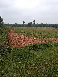  Agricultural Land for Sale in Sakthi Nagar, Pollachi, Coimbatore