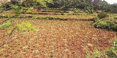  Agricultural Land for Sale in Kolli Hills, Namakkal