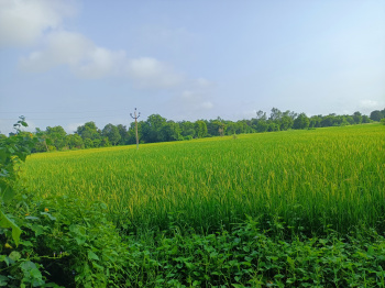  Agricultural Land for Sale in NH 8, Kheda