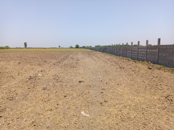  Commercial Land for Sale in Jetalpur, Ahmedabad