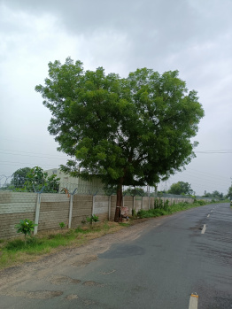  Agricultural Land for Sale in Rancharda, Ahmedabad