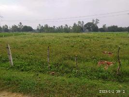  Agricultural Land for Sale in Nigoha, Lucknow