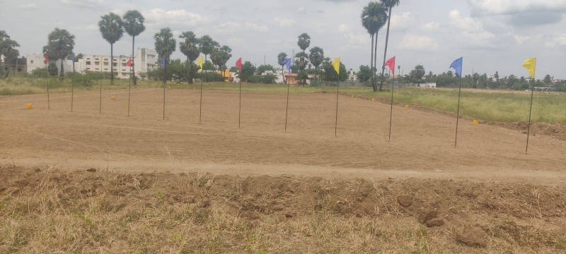  Residential Plot 2575 Sq.ft. for Sale in Periyasemur, Erode