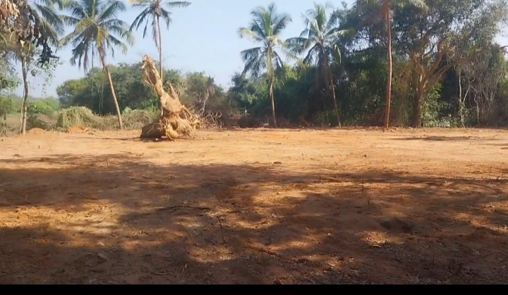  1 Acre Industrial Land for Sale in Kannur Dakshin, Dakshin Kannad