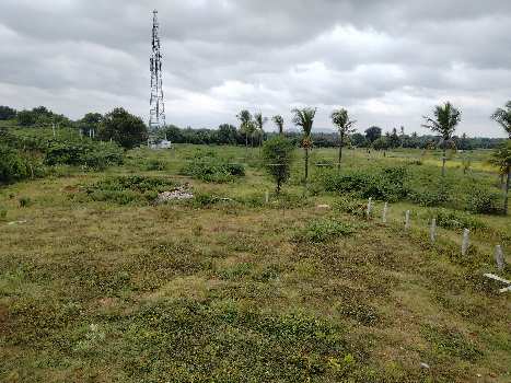 Farm Land For Sale In Gauribidanur Chikkaballapur Bangalore REI1077467   1077467 1 350x350 