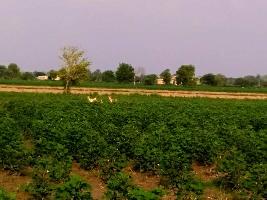  Agricultural Land for Sale in Nalsarover, Ahmedabad