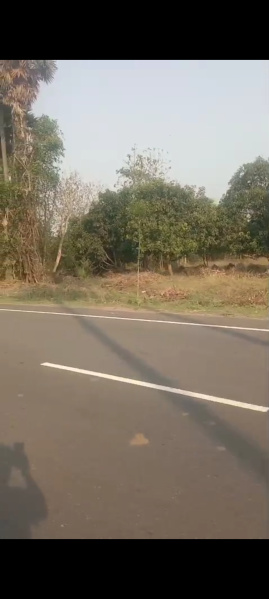  Agricultural Land 85 Cent for Sale in Alamanda, Vizianagaram