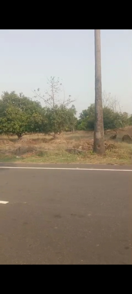  Agricultural Land 85 Cent for Sale in Alamanda, Vizianagaram