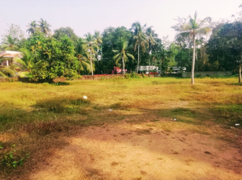 Residential Plot for Sale in Vaikom, Kottayam