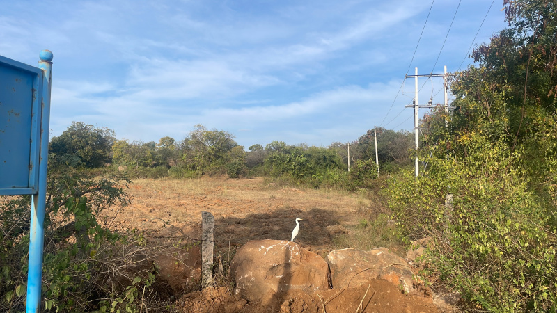  Agricultural Land 1 Acre for Rent in Kanakapura, Bangalore