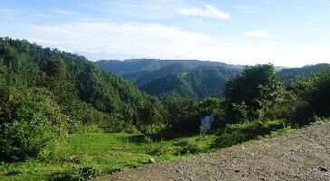  Residential Plot for Sale in Mukteshwar, Nainital
