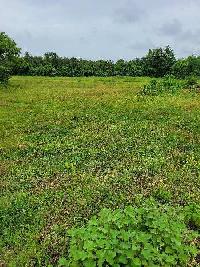  Industrial Land for Sale in Dunetha, Daman