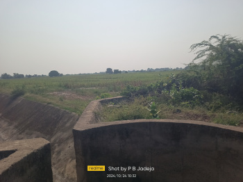  Agricultural Land for Sale in Limbdi, Surendranagar