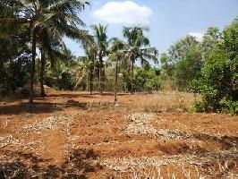  Commercial Land for Sale in Thondayad Bypass, Kozhikode