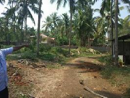  Commercial Land for Sale in Kodur, Malappuram