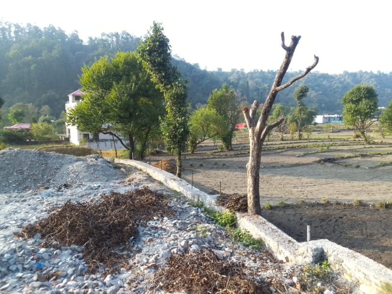  Residential Plot 1350 Sq.ft. for Sale in Sahastradhara Road, Dehradun