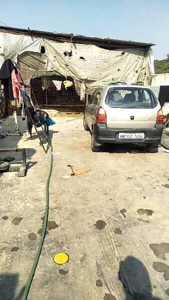 1 BHK Farm House 915 Sq. Yards for Sale in Ranwar Karnal