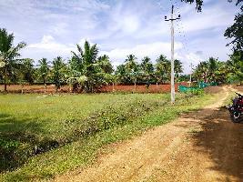  Agricultural Land for Sale in Jayalakshmipuram, Mysore