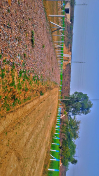  Residential Plot for Sale in Sohna Palwal Road, Gurgaon