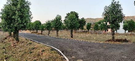  Residential Plot for Sale in Dhikli, Udaipur