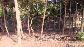  Industrial Land for Sale in Beach Property, Goa, Goa