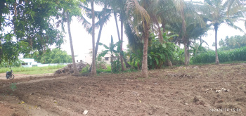  Agricultural Land for Sale in Kavindapadi, Erode