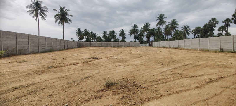  Agricultural Land 25 Cent for Sale in Mallamooppampatti, Salem