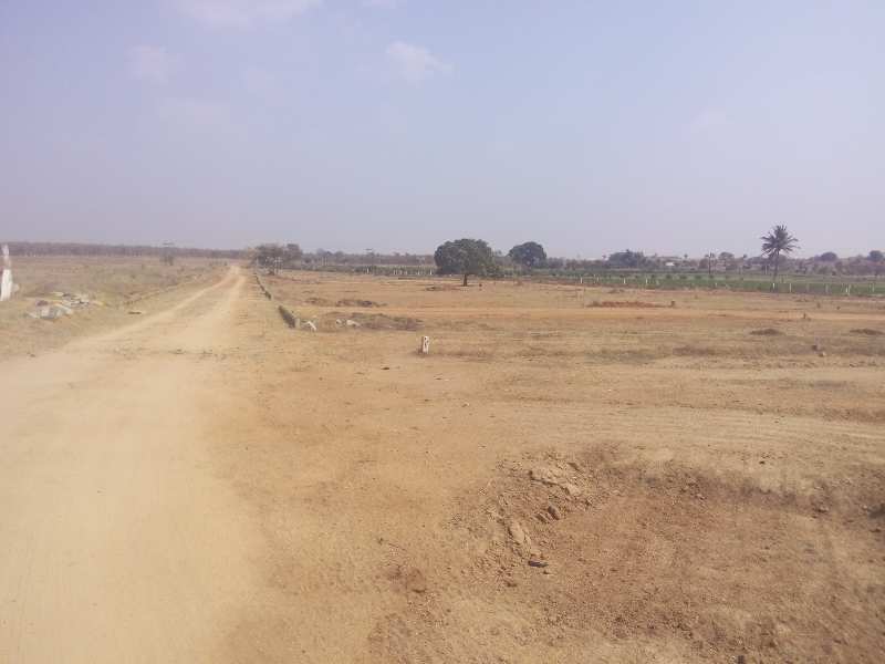  Agricultural Land 605 Sq. Yards for Sale in Shadnagar, Hyderabad