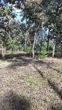  Agricultural Land for Sale in Natrampalli, Vellore