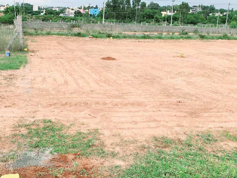  Residential Plot 1200 Sq.ft. for Sale in Anekal, Bangalore