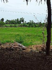  Agricultural Land for Sale in Thellar, Tiruvannamalai