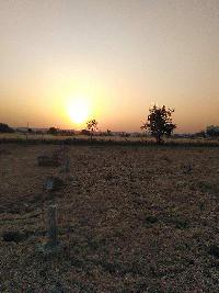  Agricultural Land for Sale in Bairagarh, Bhopal