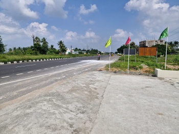  Residential Plot for Sale in Panjapur, Tiruchirappalli