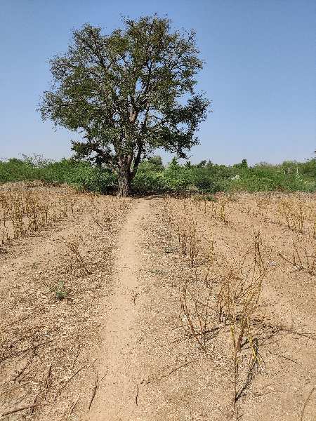  Agricultural Land 9 Acre for Sale in Pavagada, Tumkur
