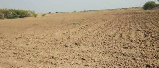 4 BHK Farm House 15 Bigha for Sale in Kuchaman City, Nagaur