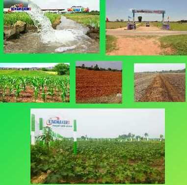  Agricultural Land 10000 Sq.ft. for Sale in Perubakkam, Chennai