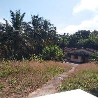  Agricultural Land for Sale in Konaje, Mangalore