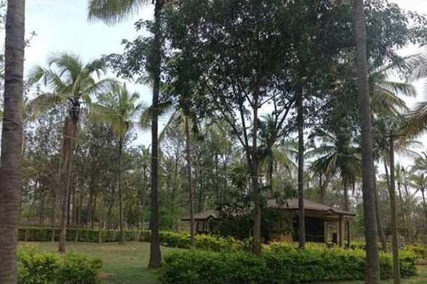  Residential Plot 850 Sq.ft. for Sale in Nelamangala, Bangalore