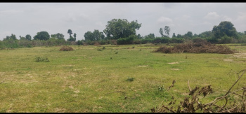  Commercial Land for Sale in Bandhavgarh National Park, Umaria