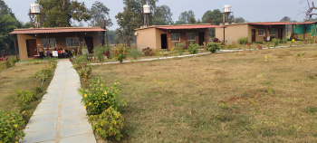  Hotels for Sale in Bandhavgarh National Park, Umaria