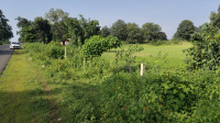  Agricultural Land for Sale in Bandhavgarh National Park, Umaria