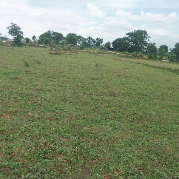 3 BHK 6 Acre Farm House for Sale in Malur, Bangalore