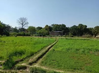  Residential Plot for Sale in Garchuk, Guwahati