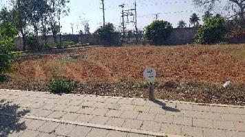  Residential Plot for Sale in Adarsha College Road, Near IVC Road,