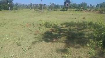  Agricultural Land for Sale in Marandahalli, Dharmapuri