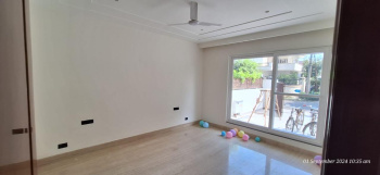 3 BHK Builder Floor for Rent in Sector 11 Chandigarh