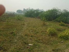  Agricultural Land for Sale in Lalganj Ajhara, Pratapgarh